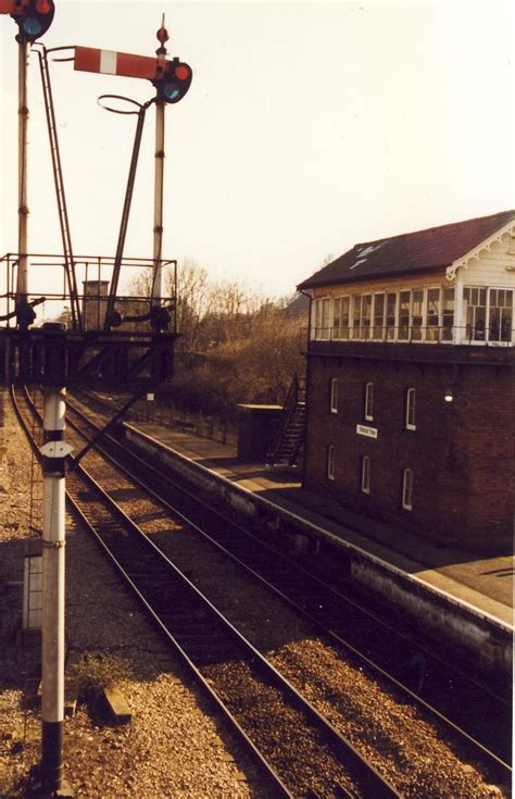 walnut tree junction